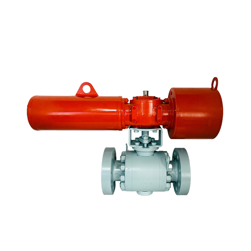Forged Steel Fixed Soft Seal Ball Valve